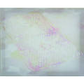 ѓc珻@Chiaki Iida