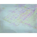 ѓc珻@Chiaki Iida