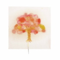  Sakura Fukushima